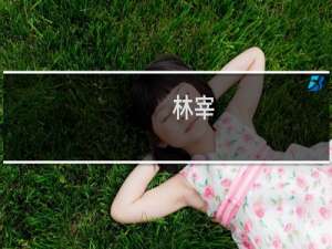 林宰(关于林宰的简介)