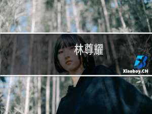 林尊耀(关于林尊耀的简介)