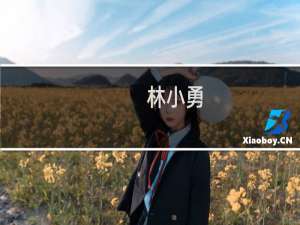 林小勇(关于林小勇的简介)
