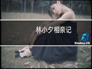 林小夕相亲记(关于林小夕相亲记的简介)