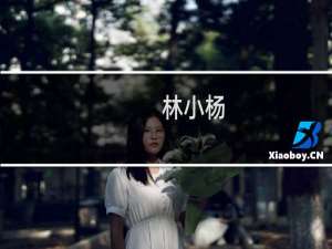 林小杨(关于林小杨的简介)