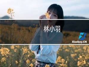 林小羽(关于林小羽的简介)
