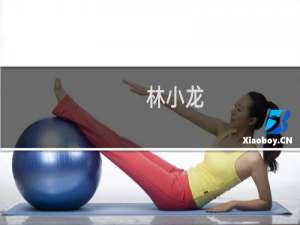 林小龙(关于林小龙的简介)
