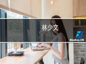 林少文(关于林少文的简介)