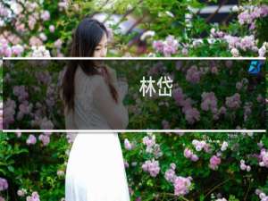 林岱(关于林岱的简介)