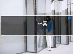 林嵩(关于林嵩的简介)