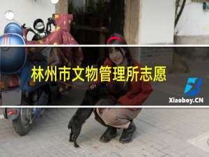 林州市文物管理所志愿服务队(关于林州市文物管理所志愿服务队的简介)