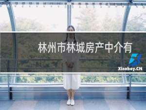 林州市林城房产中介有限公司(关于林州市林城房产中介有限公司的简介)