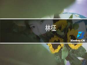 林征(关于林征的简介)