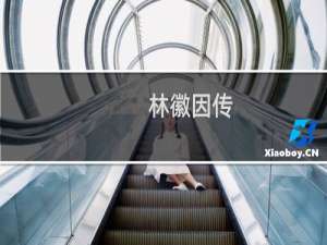 林徽因传(关于林徽因传的简介)