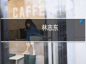 林志东(关于林志东的简介)