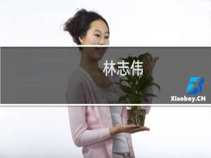 林志伟(关于林志伟的简介)