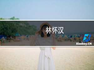 林怀汉(关于林怀汉的简介)