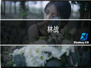 林战(关于林战的简介)