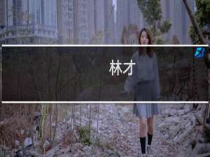 林才(关于林才的简介)