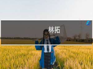 林拓(关于林拓的简介)