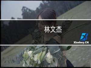 林文杰(关于林文杰的简介)