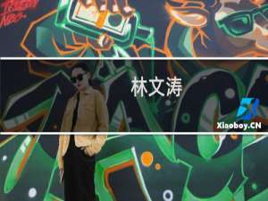 林文涛(关于林文涛的简介)