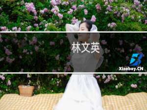 林文英(关于林文英的简介)