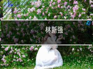 林新强(关于林新强的简介)
