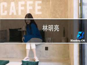 林明亮(关于林明亮的简介)