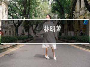 林明菁(关于林明菁的简介)