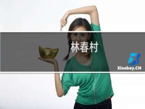 林春村(关于林春村的简介)