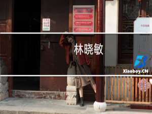 林晓敏(关于林晓敏的简介)