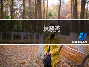 林晓燕(关于林晓燕的简介)