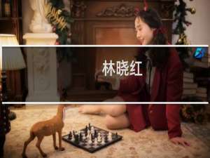 林晓红(关于林晓红的简介)