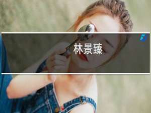 林景臻(关于林景臻的简介)