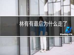 林有有最后为什么走了（林有有结局是什么林有有最后结局是什么）