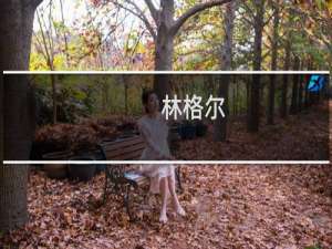 林格尔(关于林格尔的简介)