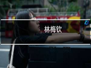 林梅钦(关于林梅钦的简介)