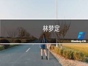 林梦定(关于林梦定的简介)