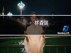 林森端(关于林森端的简介)