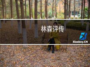 林森评传(关于林森评传的简介)