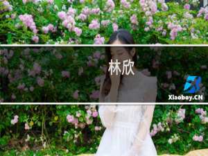 林欣(关于林欣的简介)