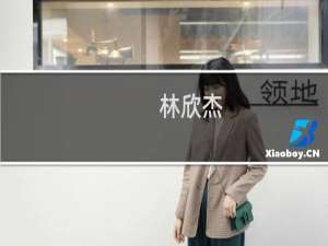林欣杰(关于林欣杰的简介)