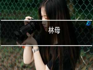 林母(关于林母的简介)