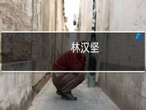 林汉坚(关于林汉坚的简介)
