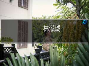 林泓域(关于林泓域的简介)