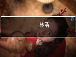 林浩(关于林浩的简介)