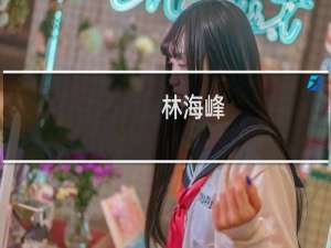 林海峰(关于林海峰的简介)