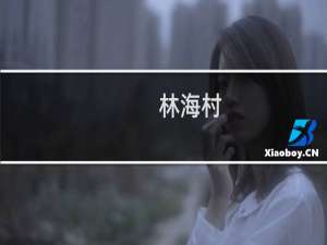 林海村(关于林海村的简介)