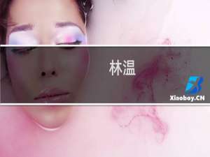 林温(关于林温的简介)