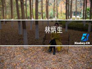 林炳生(关于林炳生的简介)