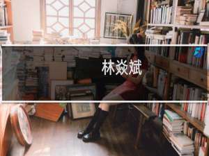 林焱斌(关于林焱斌的简介)