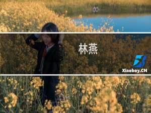 林燕(关于林燕的简介)