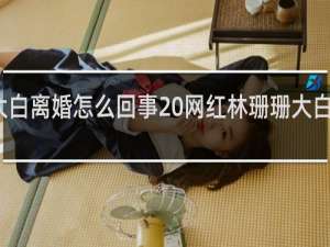 林珊珊大白离婚怎么回事 网红林珊珊大白离婚怎么回事